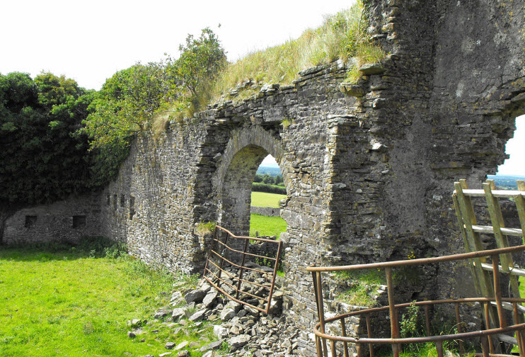 Ballinakill Castle, Ireland